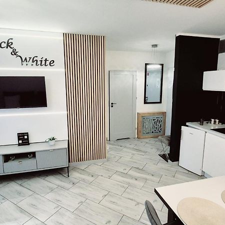 Apartament Black-White Mielno  Εξωτερικό φωτογραφία