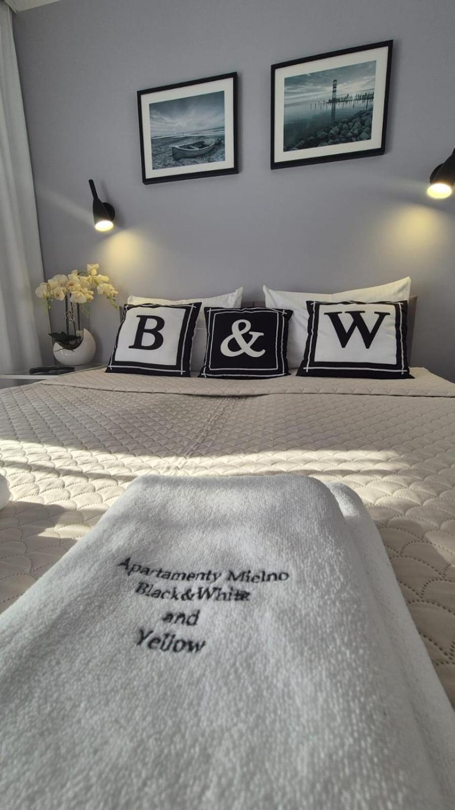 Apartament Black-White Mielno  Εξωτερικό φωτογραφία